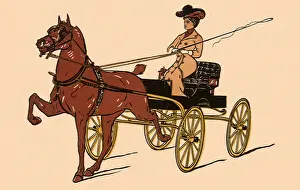 Guiding: Horse Pulls Trap