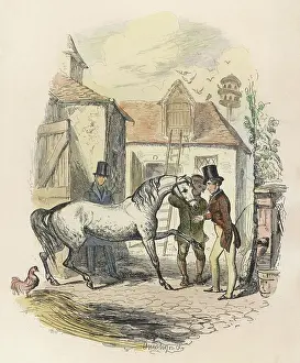 Dapple: HORSE AND PURCHASER