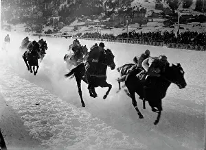 Marvellous: Horse race