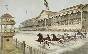 Bleachers: Horse Race