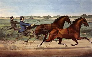 Buggies: Horse Race