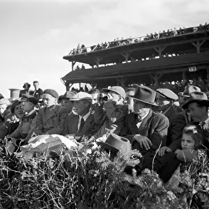 Pardubice: Horse race - spectators