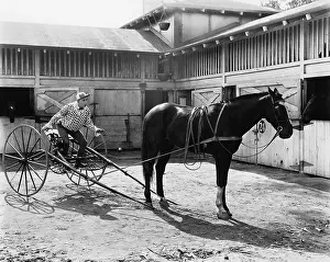 Sulky: Horse racer sitting on the wagon