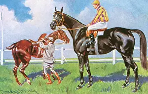 Tack: Horse Racing - Going to the Post