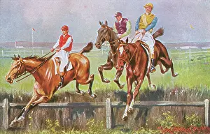 Silks: Horse Racing - The Last Hedge