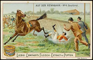 Liebig: Horse Racing - Liebig