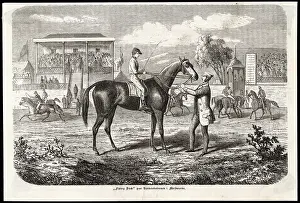 Adjustments: Horse Racing - Melbourne