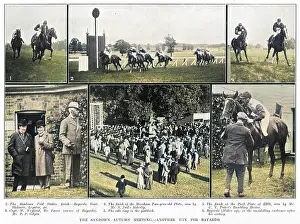 Horserace: Horse racing at Sandown