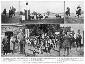 Horserace: Horse racing at Sandown