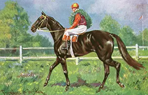 Gleaming: Horse Racing - Won in a Canter