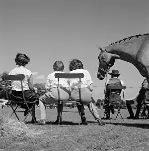 Horseriding: Horse riding