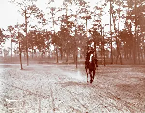 Aiken: Horse riding in America