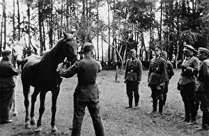 Veterinary: Horse roll call on the Eastern Front, 1942