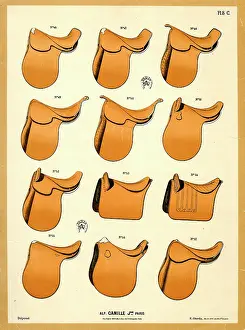 Camille: Horse saddles, Camille, Paris