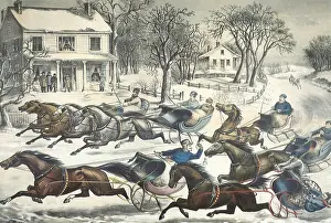 Sledding: Horse Sled Race