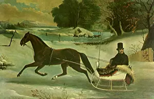 Elsie: Horse and Sleigh