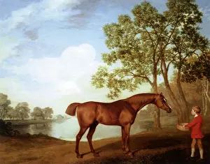 Equines: Horse with Stable Boy, by Stubbs