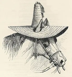 Blinkers: HORSE IN SUNHAT 1896