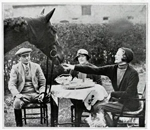 Racehorses: Horse at a Tea Party