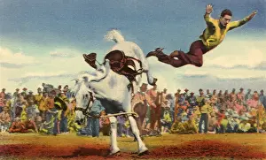 Bucks: Horse Throws Cowboy