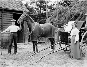 Risborough: Horse and Trap