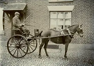 Blinkers: Horse and Trap