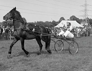Tony Boxallfrps: Horse trap and jockey