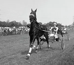 Tony Boxallfrps: Horse traps and jockeys