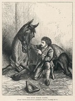 Instantaneously: HORSE WHISPERER