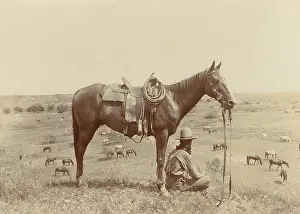 Lcgr1803: The Horse Wrangler, by Erwin E. Smith, 1910
