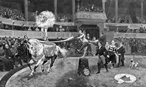 Ringmaster: Horseback dancer at a circus