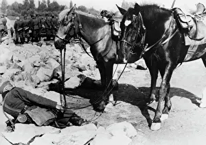 Horsemen: Horsemen during the Western campaign, 1940
