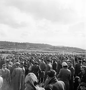 Blackmore: Horseracing meet