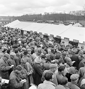 Throng: Horseracing meet