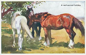 Geographia: Three Horses