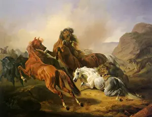 Equines: Horses Attacked by Lions