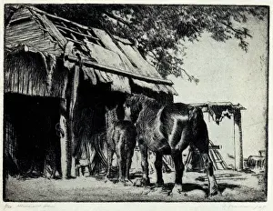 Friedensen: Horses and Barn