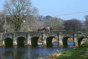 Barle: Horses on a bridge, Withypool, Somerset