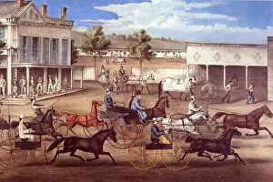 Buggies: Horses and Buggies