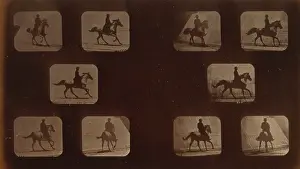Mahomet: Horses. Cantering