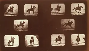Mahomet: Horses. Cantering