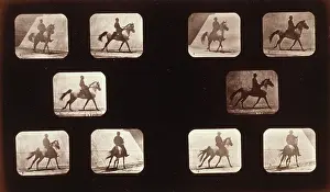 Mahomet: Horses. Cantering