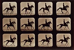 Mahomet: Horses. Cantering