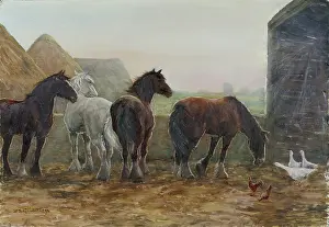 Haystacks: Horses with Chickens and Geese