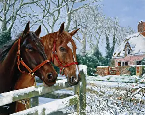 Winnie: Two Horses and Cottage in Snow