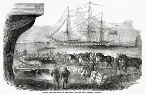 Shipped: HORSES FOR THE CRIMEA