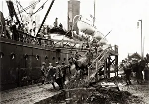 Relating: Horses disembarking from a ship