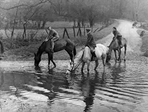 Barwick: HORSES DRINKING