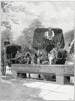 Trough: Horses drinking at a Metropolitan Drinking Trough