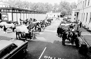 Horseguards: Horses drinking from troughs